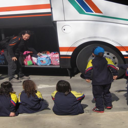 servicios-escolares-lux-bus